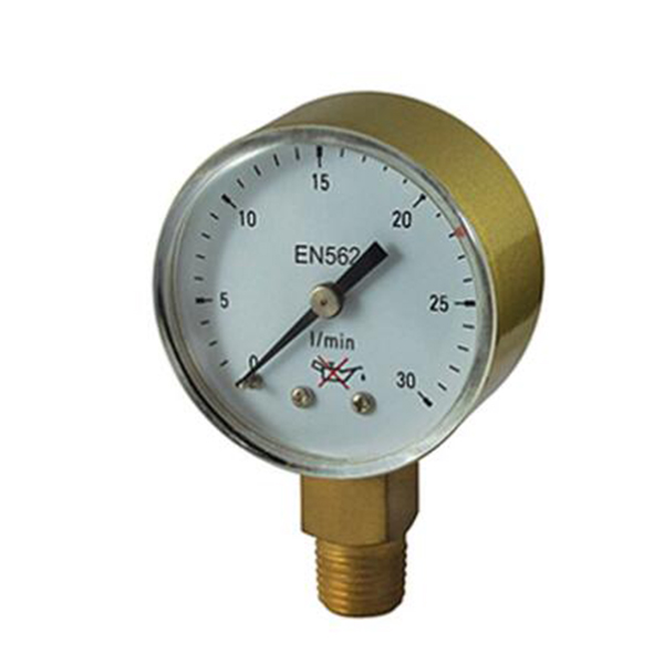 Regulator gauge