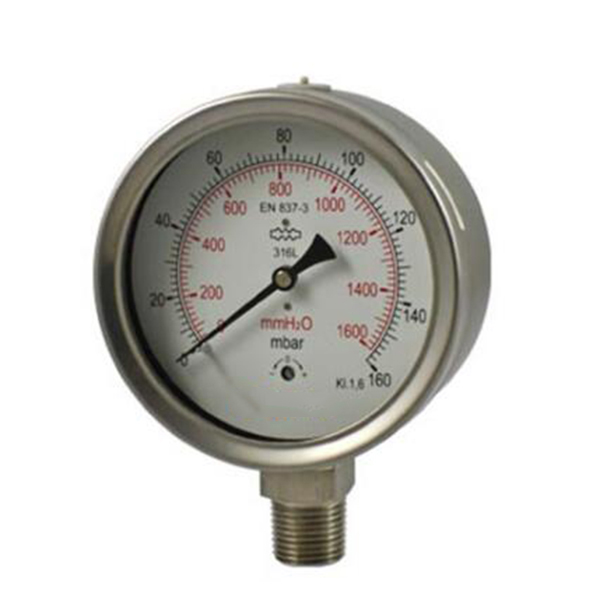 All stainless steel capsule low pressure gauge