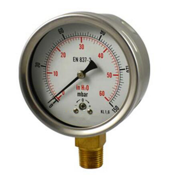 Stainless steel DIN case capsule low pressure gauge