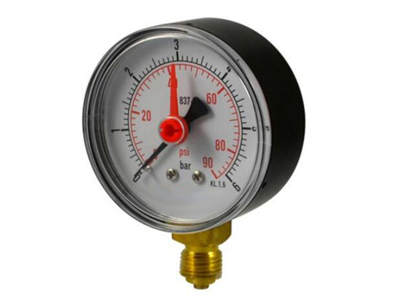 Pressure Gauge Series